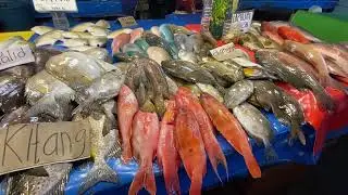 Variety of fish at bangkerohan wet market 