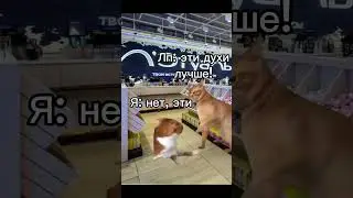 Жизаа #котики #мем #мем #говреки #подпишись