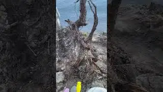 Поездка в Большое Голоустное летом 21