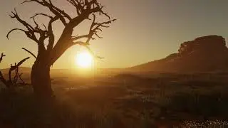 Next Generation Rendering in Unity 3D