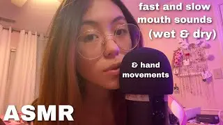 ASMR | Fast Aggressive and Slow Mouth Sounds (Wet & Dry) and Hand Movements