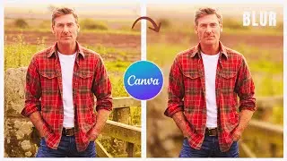 How to BLUR Photo Background in Canva