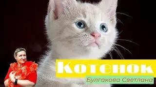 Котенок - Булгакова Светлана