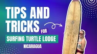 Surfing Turtle Lodge | Tips, Tricks, and Everything You Need to Know