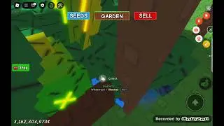 Opening bug egg