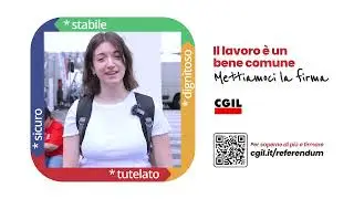 spot referendum 1080p