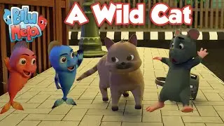 Bilu Mela - A Wild Cat