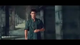 Bruce Lee and Chock Norris kicking ass