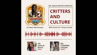 Podcast Teaser