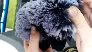 Mini floppy silver fox ~WIP