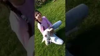Французский бульдог с девочкой