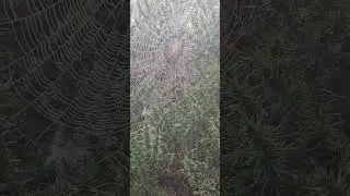 я не смогла пройти мимо ❗️так как я бухаю каждый день 😱