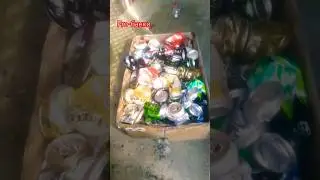 Pro-банки