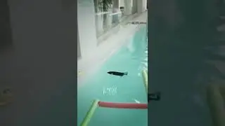 глент, нельзя же так
