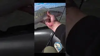 РЫБАЛКА НА СУДАКА В НОВОСИБИРСКЕ 