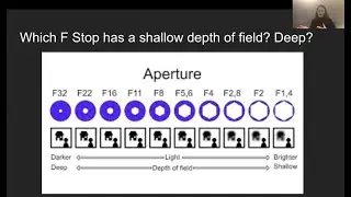 Photography Basics with Zoe Tessier: Aperture