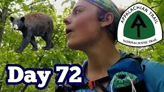 Entering NEW JERSEY & Seeing My FIRST BEAR! | Appalachian Trail Thru-Hike 2023