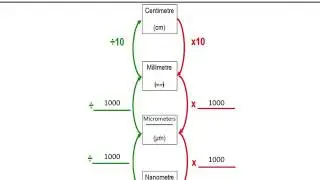 Biological Units and their Conversion