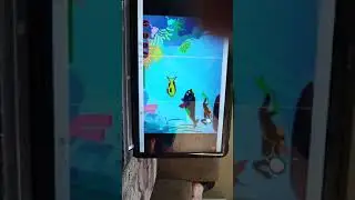 كورس تعليم اسكراتش جونيور للاطفال من سن ٥ سنوات اوف لاين
