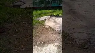 Тачка трамплин(1)
