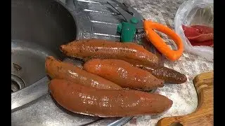 I am preparing red sea worm, urechus. Mukbang.