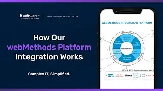 How Our webMethods Platform Integration Works