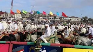 موسم مولاي عبدالله اجواء تبوريدة اقليم الجديدة