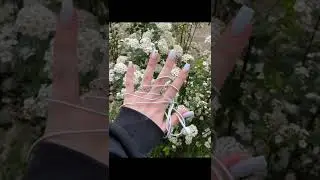manicure ideas 🧸
