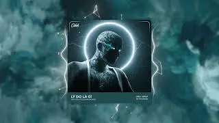 Lý Do Là Gì - Nguyễn Vĩ「Cukak Remix」/ Audio Lyrics Video