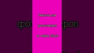 Новости для фотостокеров от Adobe Stock 