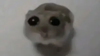 Иван курапов мем [Видео создано для прикола] ps: [и по рофлу](2)