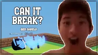 Can Penguins Break The Bed Shield? | Roblox Bedwars