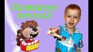 Happy playing for Dima. Обзор игры Любимые косточки.