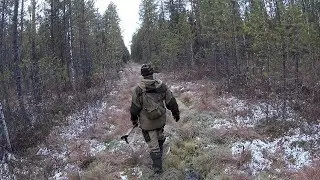 Охота на рябчика, глухаря