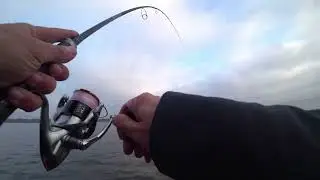 Спиннинг Super Sonic 802M. Осенний окунь.