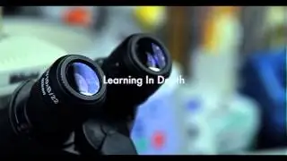 Imaginative Education