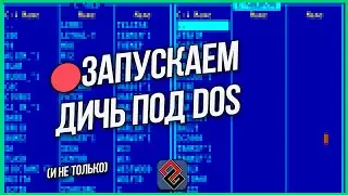 🔴Запускаем Старые Игры под DOS -  Стрим