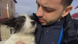 Как я приютил бездомного щенка