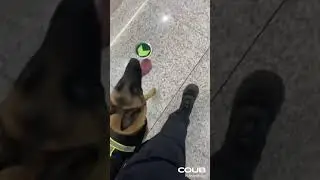 Янитакая