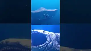 The bloop Vs El Gran Maja