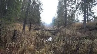 НАЧИНАЕМ ПРОМЫСЕЛ ПУШНИНЫ