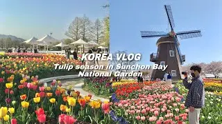 KOREA VLOG l The beautiful Tulip🌷season in Suncheon Bay National Garden #gks #studyinkorea #travel