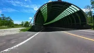 スプリングバレーダウンヒル（Insta360 GO3）