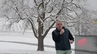 Can't you hear my heartbeat (Herman's Hermits cover + arr)