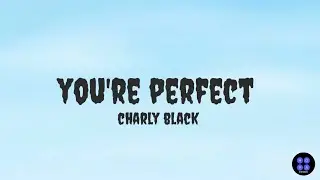 YOU'RE PERFECT | CHARLY BLACK | LYRICS VIDEO
