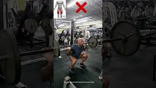How to barbell squats for you quads #squats #shorts