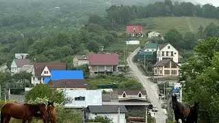 Из Питера в горное село:) с вещами и собаками