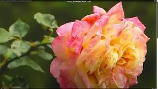 " Знаете ли Вы, что ..? "  ( часть 2 )