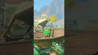 I built an Airship in Tears of the Kingdom