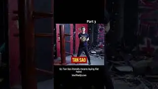 Wing Chun Technique Glossary for Wooden Dummy Training - Part 3 
